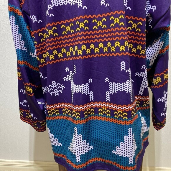 Sean Bonar - 2014-15 Orlando Solar Bears - Christmas Jersey - Back-Up Only XXL - Picture 8 of 12